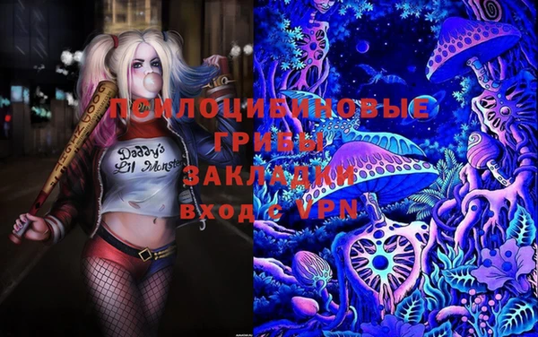 прущая мука Балахна