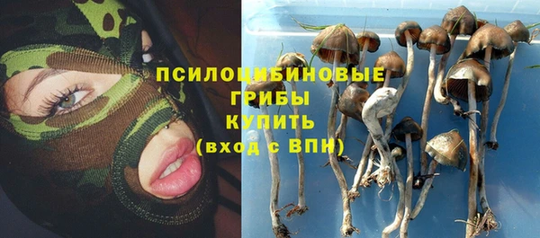 прущая мука Балахна